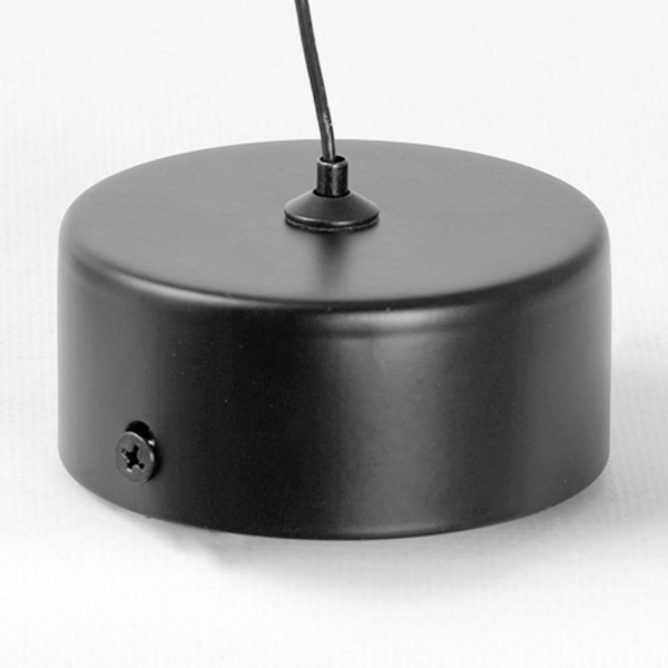 Подвесной светильник Lussole Blount LSP-7356 Подвесной светильник Lussole Blount LSP-7356