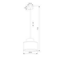 Подвесной светильник TK Lighting 1856 Duo