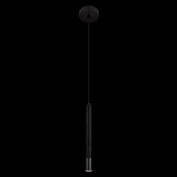 Подвесной светильник Loft IT Everest 10583D Black