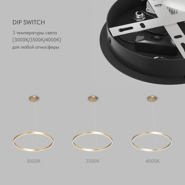 Подвесной светодиодный светильник Denkirs Raydia DK6273-SG