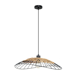 Подвесной светильник Arte Lamp WOODSTOCK A7061SP-1BK