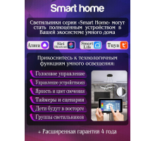 Подвесной светодиодный светильник Natali Kovaltseva Smart Home Led Lamps 81220