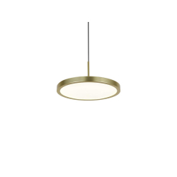 Подвесной светильник Newport 3511N/S mat.gold М0071639
