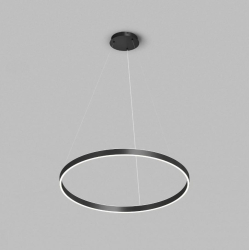 Подвесной светильник DENKIRS RAYDIA DK6273-BK