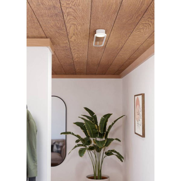 Потолочный светильник Eglo Collecorvino 902152