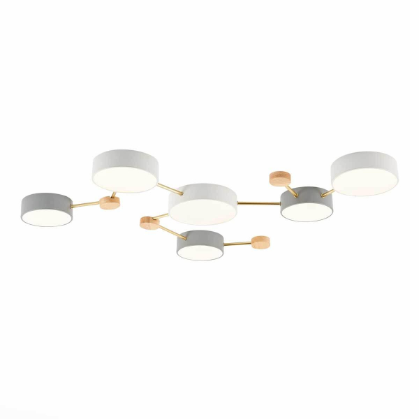 Потолочный светильник Evoluce DOSSENA SLE600102-06 Потолочный светильник Evoluce DOSSENA SLE600102-06