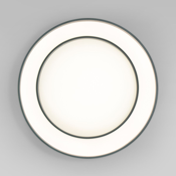 Потолочный светодиодный светильник Eurosvet Force 90330/2 серый