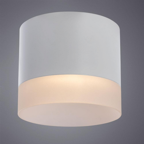 Потолочный светильник Arte Lamp Castor A5554PL-1WH