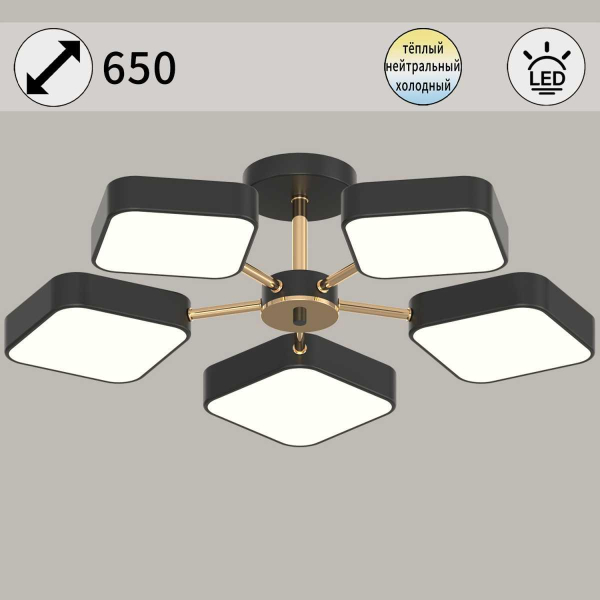 Светильник потолочный Reluce 03360-0.3-05 BK+FGD