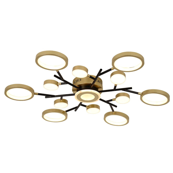 Потолочный светодиодный светильник F-Promo Hybrid 4686-13C