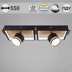 Потолочный светильник Reluce 19560-0.3-2+2 BK+WOOD