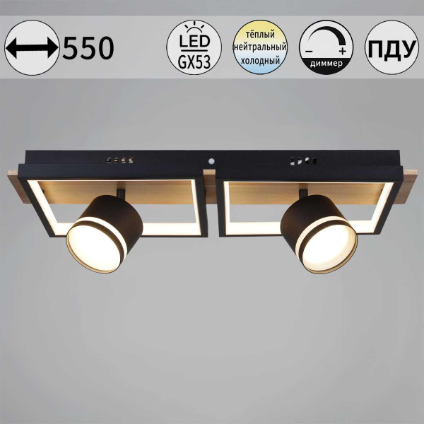 Потолочный светильник Reluce 19560-0.3-2+2 BK+WOOD