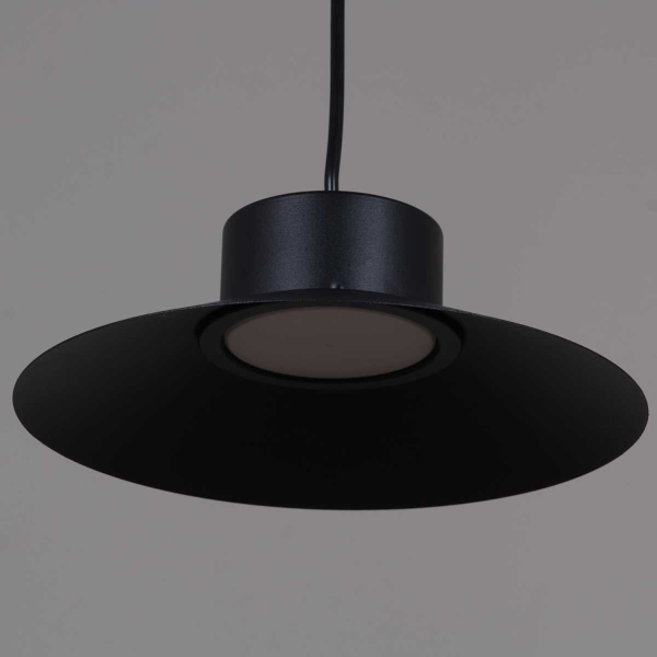 Люстра Reluce 40110-0.9-03A BK