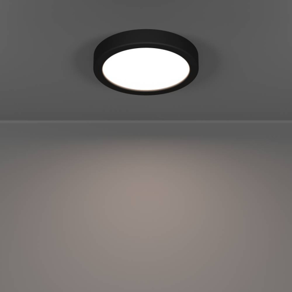 Потолочный светильник Eglo Fueva 6 901324