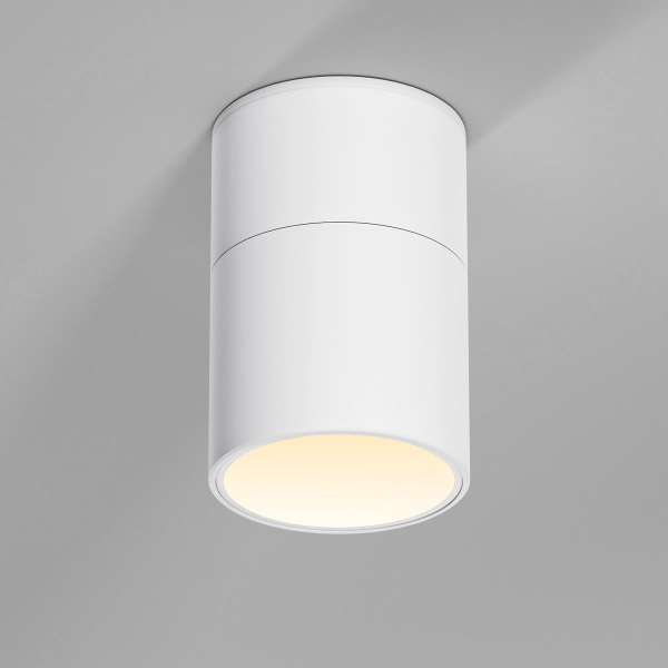 Потолочный светильник Elektrostandard 25112/LED a067486 Потолочный светильник Elektrostandard 25112/LED a067486
