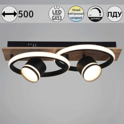 Потолочный светильник Reluce 29560-0.3-2+2 BK+WOOD