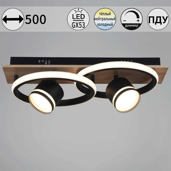 Потолочный светильник Reluce 29560-0.3-2+2 BK+WOOD