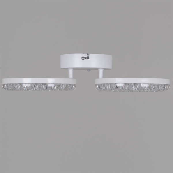 Потолочный светильник Reluce 09847-0.3-02A WH