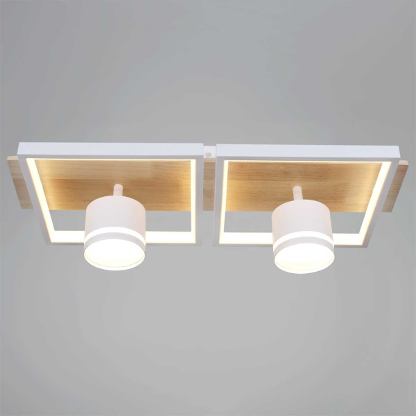 Потолочный светильник Reluce 19560-0.3-2+2 WH+WOOD