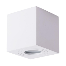 Потолочный светильник Arte Lamp Galopin A1461PL-1WH