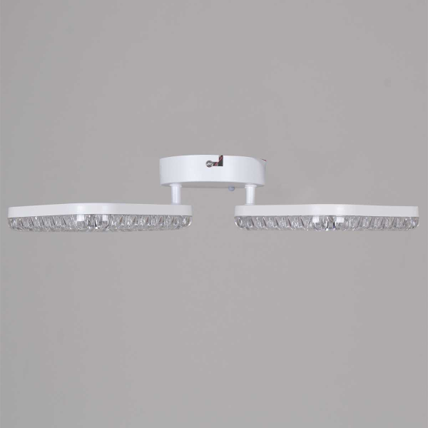 Потолочный светильник Reluce 09848-0.3-02A WH