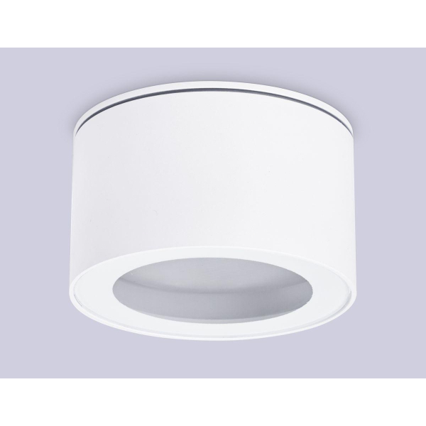 Потолочный светильник Ambrella light Techno Spot IP Protect TN6522 Потолочный светильник Ambrella light Techno Spot IP Protect TN6522
