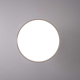 Потолочный светильник Imperium Loft Birk D30 White 377315-23