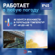 Прожектор светодиодный уличный ЭРА PRO LPR-062-0-65K-030 Б0064687