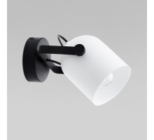 Спот TK Lighting 3488 Spectra Black White