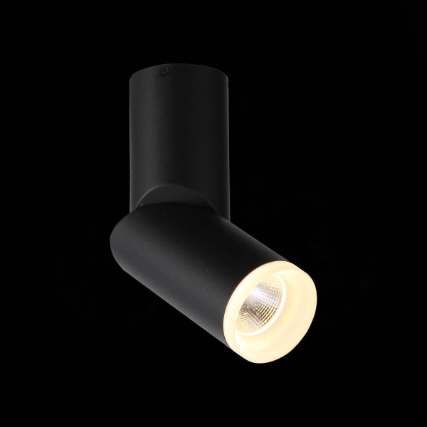 Светодиодный спот ST Luce Tortelle ST107.402.10 Светодиодный спот ST Luce Tortelle ST107.402.10
