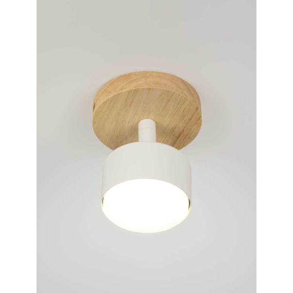 Спот Rivoli Vivian 7078-701 Б0069927