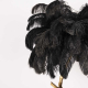 Торшер Imperium Loft Страусиные Перья Feather Lamp A Modern Grand Tour Черный 189584-22