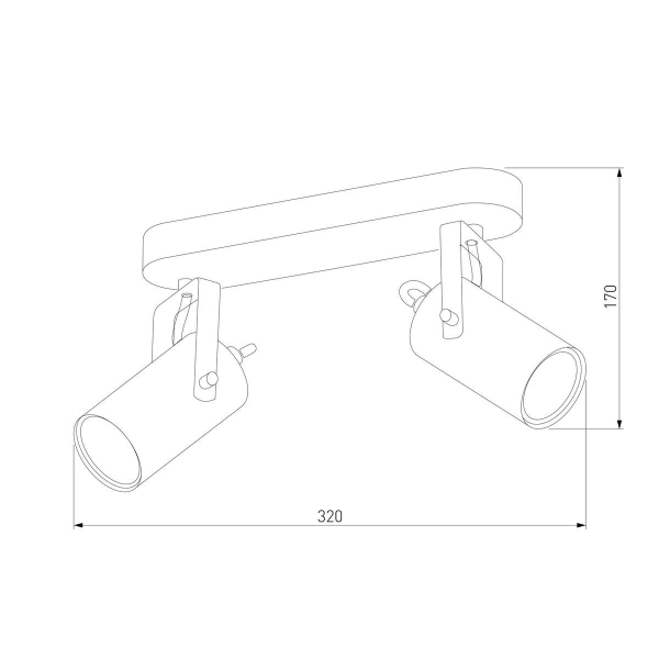 Спот TK Lighting 2798 Redo Black Gold