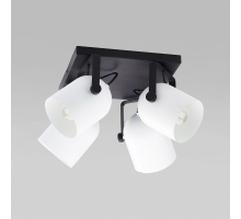 Спот TK Lighting 3493 Spectra Black White