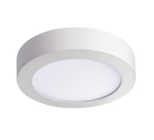 Потолочный светодиодный светильник Kanlux CARSA V2LED 12W-NW-W 28948