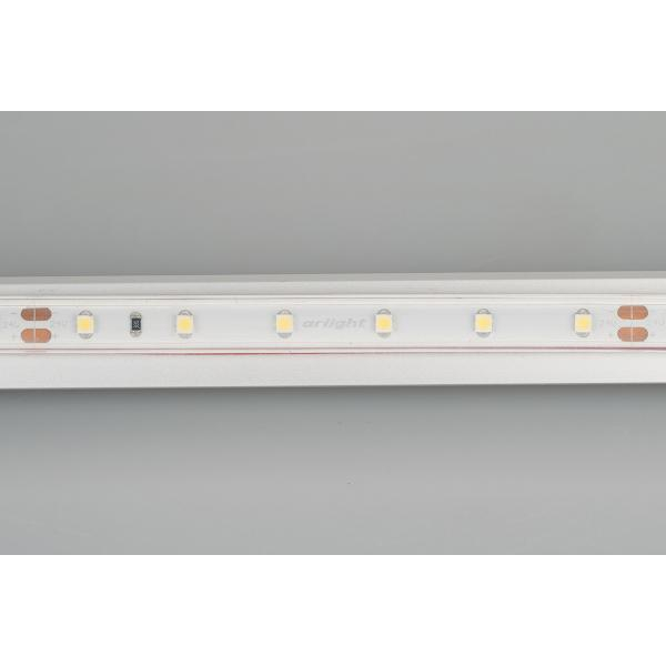 Светодиодная влагозащищенная лента Arlight 4,8W/m 60LED/m 3528SMD белый 50M 024562(2)