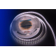 Светодиодная влагозащищенная лента DesignLed 28,8W/m 120LED/m 5050SMD нейтральный белый 5M 001133