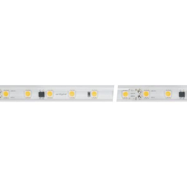 Светодиодная влагозащищенная лента Arlight 8W/m 54LED/m 5060SMD холодный белый 10M 029403(2)