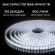 Светодиодная лента Apeyron 9,6W/m 120LED/m 2835SMD холодный белый 5M 00-443