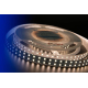 Светодиодная влагозащищенная лента DesignLed 28,8W/m 120LED/m 5050SMD теплый белый 5M 000523