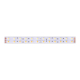 Светодиодная влагозащищенная лента DesignLed 28,8W/m 120LED/m 5050SMD разноцветный/теплый белый 5M 001134
