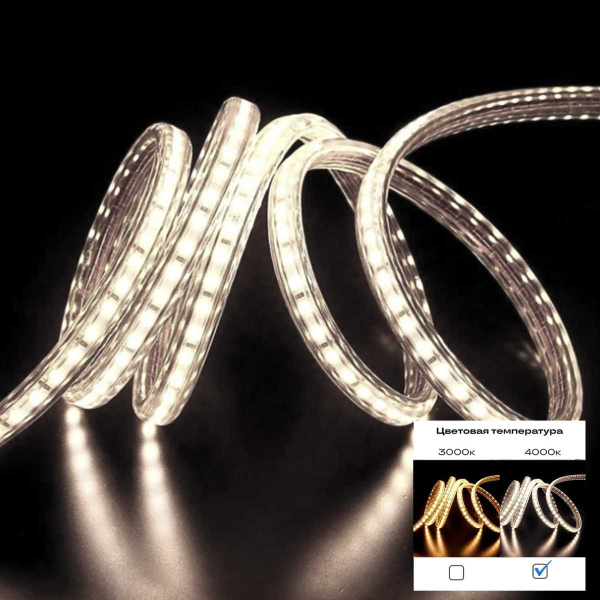 Светодиодная лента ST Luce 14,4W/m 2835SMD 4000К 5M ST5001.414.65