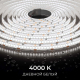 Светодиодная лента Apeyron 14,4W/m 240LED/m 2835SMD дневной белый 5M 00-504