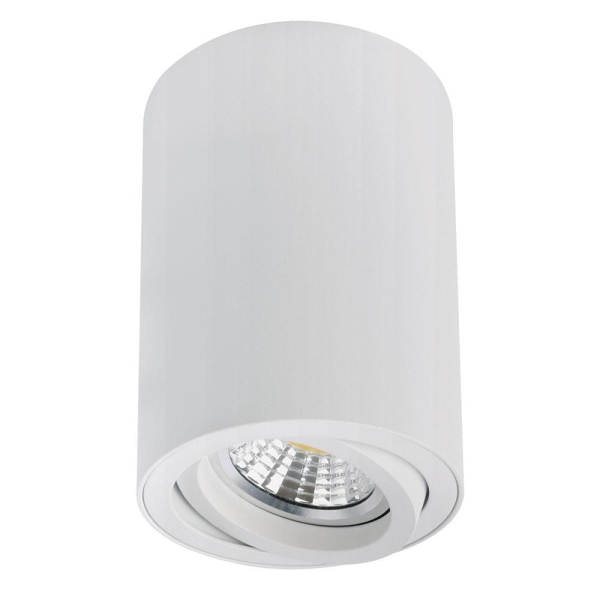 Точечный накладной светильник Arte Lamp SENTRY A1566PL-1WH Точечный накладной светильник Arte Lamp SENTRY A1566PL-1WH