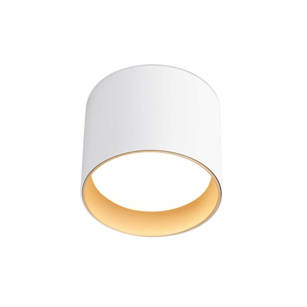 Светильник накладной Ambrella Light TN5304