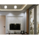 Светильник накладной Ambrella Light TN5303