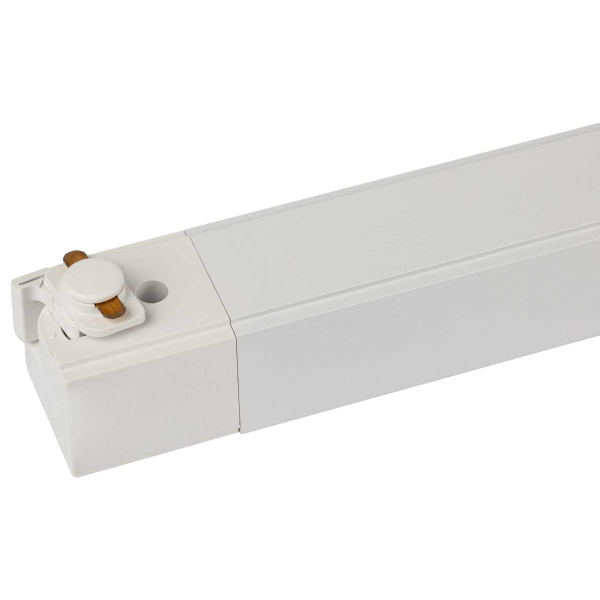 Трековый светильник однофазный ЭРА TR50-2040 WH Б0054167