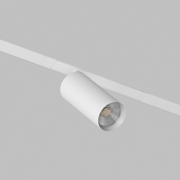 Трековый светодиодный светильник Denkirs Simple Spot DK8120-WH