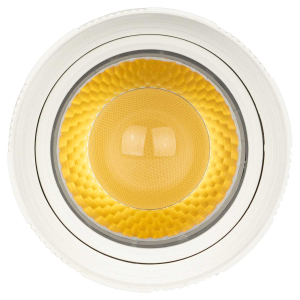 Трековый светильник однофазный ЭРА TR59-2040 WH Б0054442