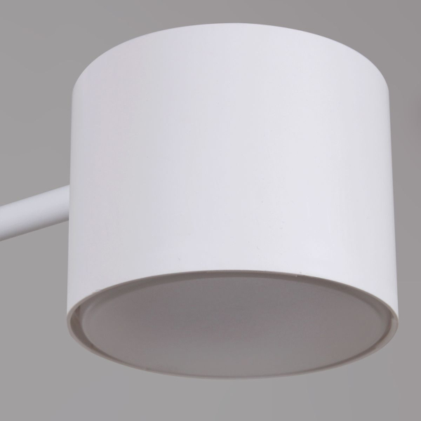 Потолочная люстра Reluce 47206-0.3-06WT